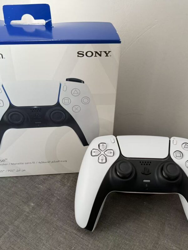 PS5 White Controller