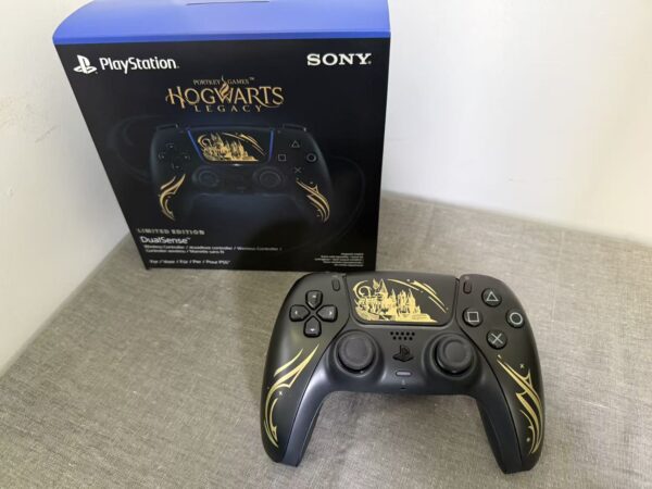 PS5 Hogwarts Controller