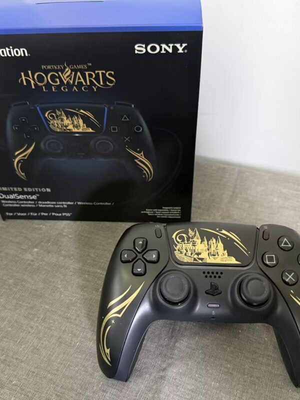 PS5 Hogwarts Controller